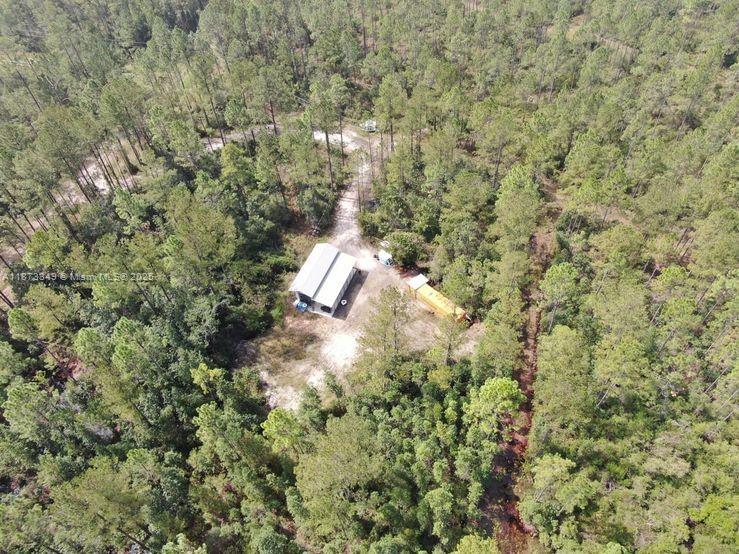 Aucilla Plantation - Land