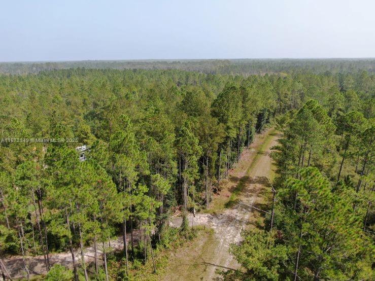 Aucilla Plantation - Land