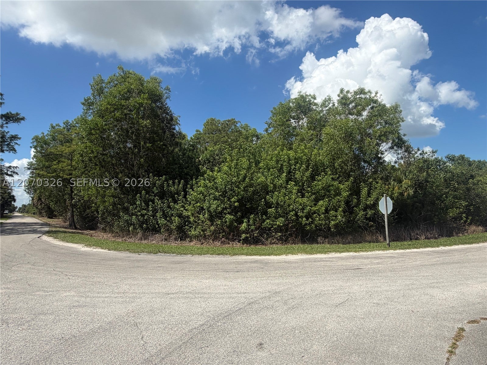 19556 Black Falcon Rd