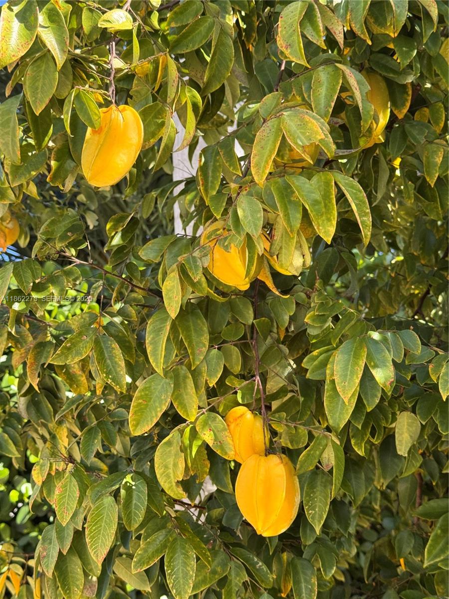 OLD CUTLER MEADOW AMEND - Residential