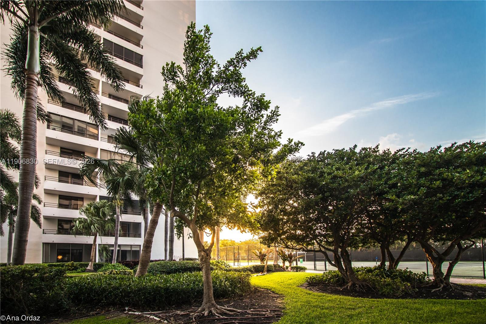 OLYMPUS CONDO - Residential