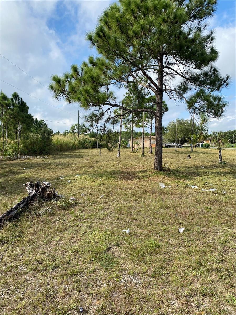 GOULDS ESTATES SEC 1 - Land