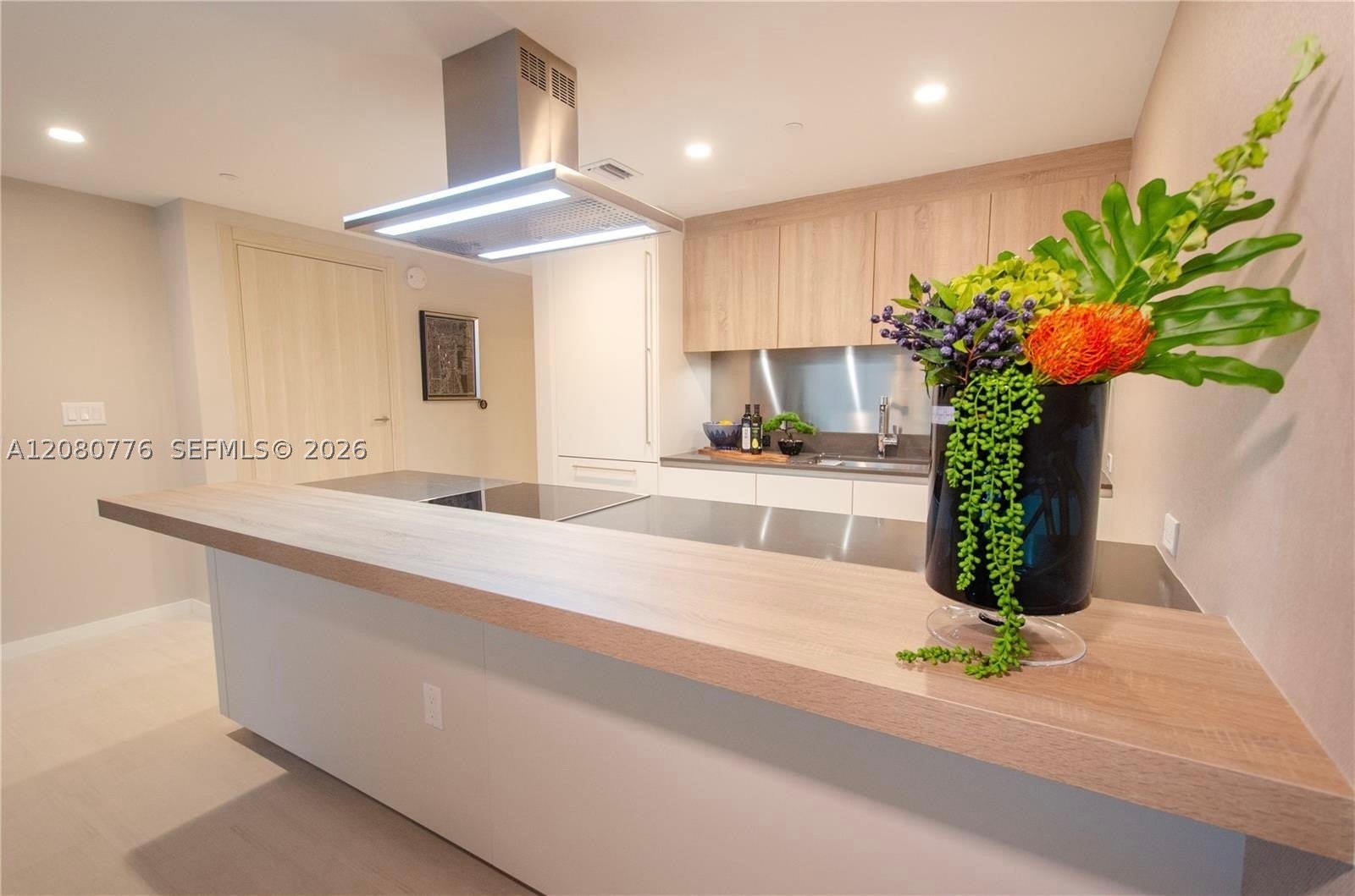 1000 Brickell Plz 4207