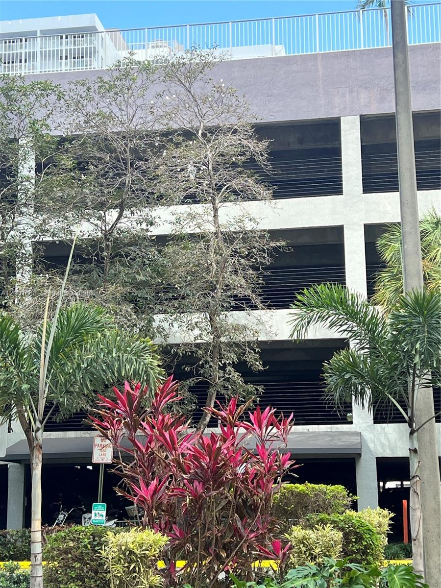 850 N Miami Ave W-1806