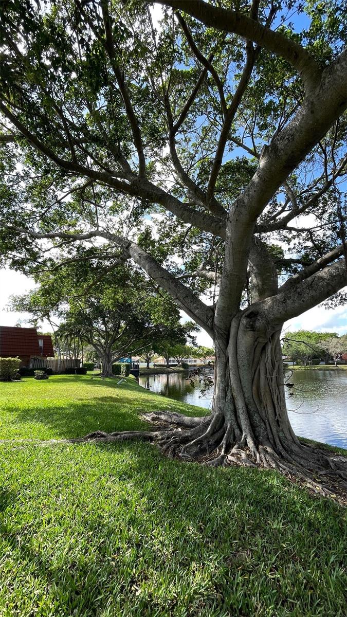 Waterford Courtyards - Residential
