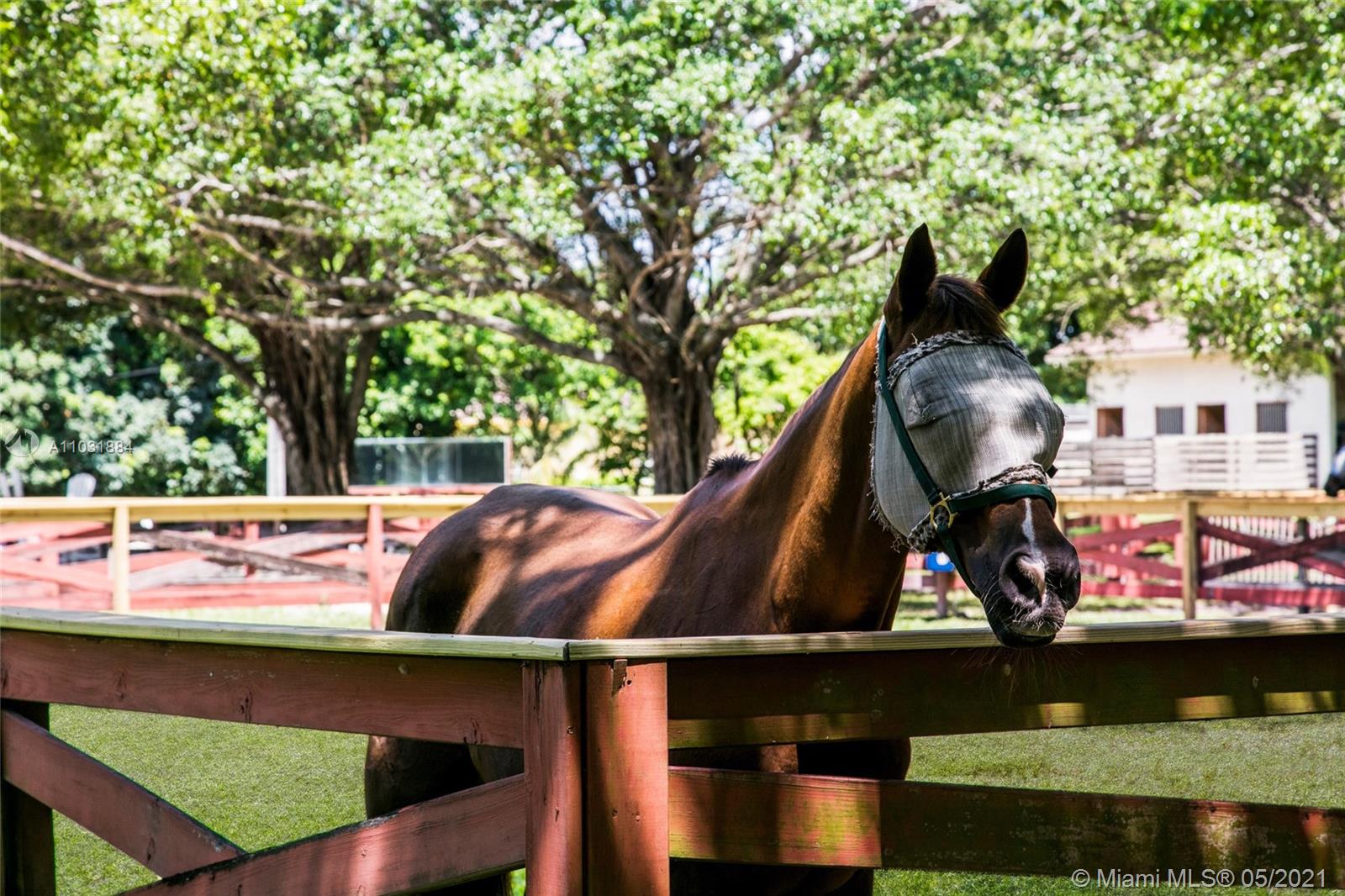 IMPACT IMAGE DESIGN PLAT - Residential