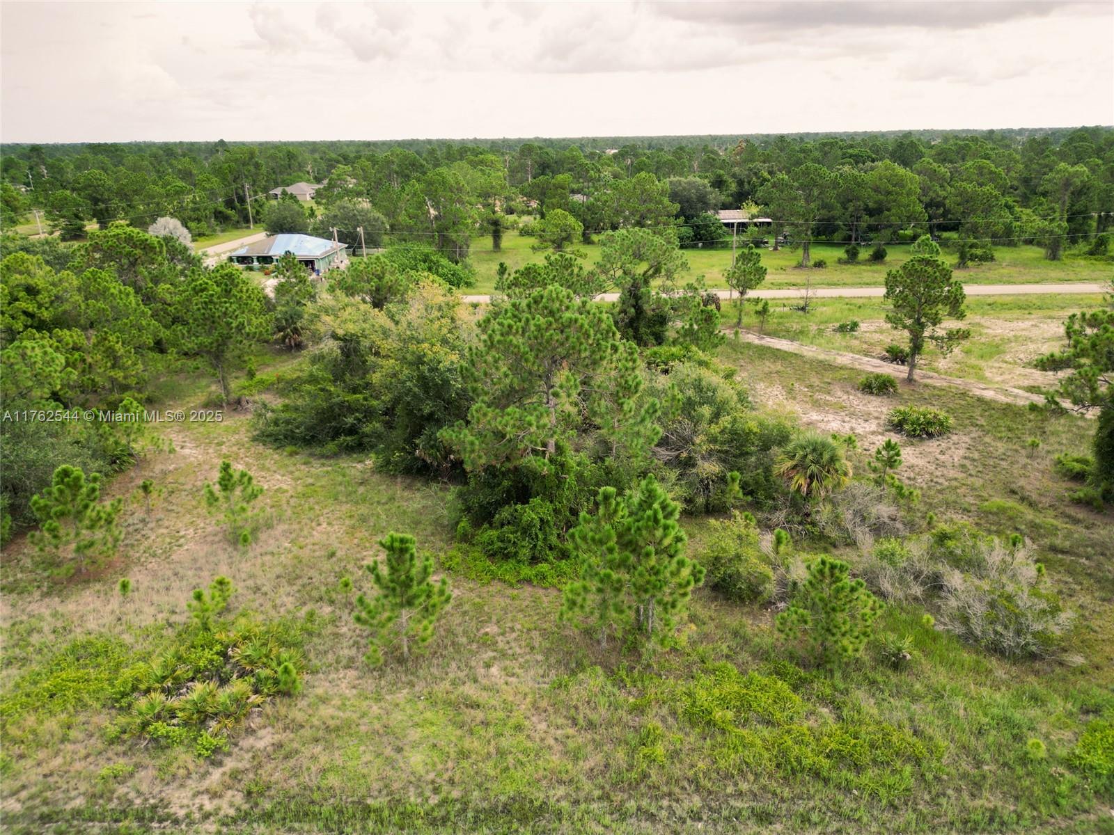 LEHIGH ACRES - Land