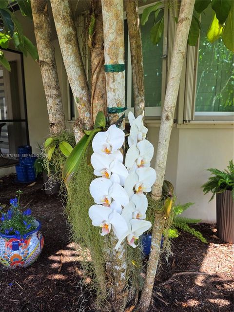 Tiny photo for 13022 SW 113th Pl, Miami, FL 33176 (MLS # A11975788)