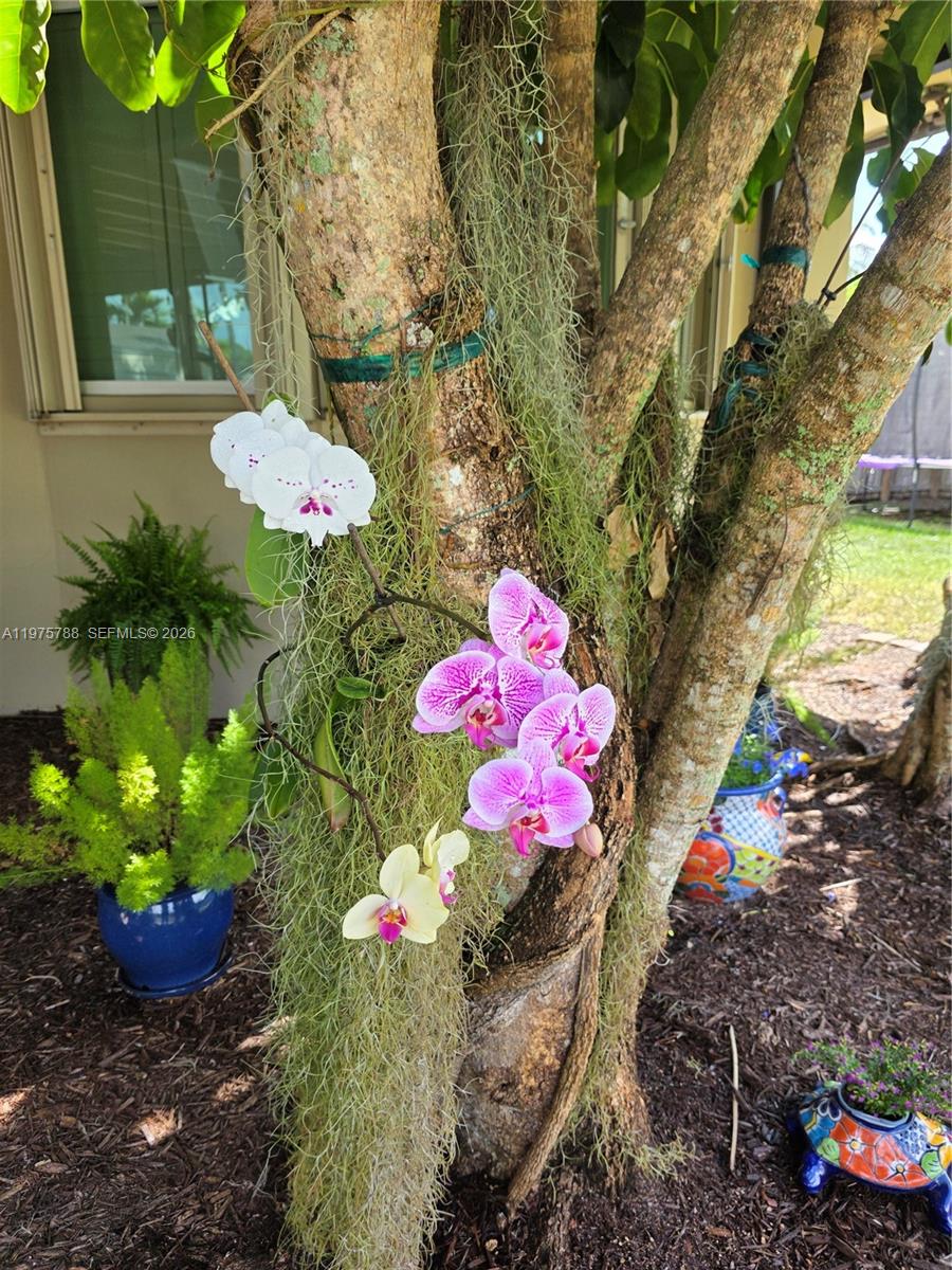 PINE SHORE SEC 3 - Residential