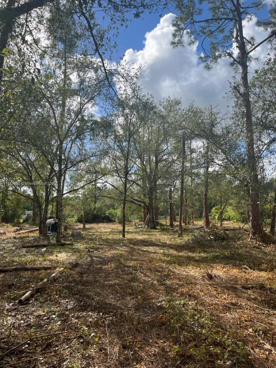 1.07 ACRES LOCATED AT THE NORTH OF MONTURA, CLEARED LOT AND CURB ENTRANCE HAS BEEN DONE!!! WITH REALLY NICE NEIGHBORS AND BEAUTIFUL TREES GREAT INVESTMENT OPPORTUNITY! YOU CAN BUILD YOUR DREAM HOUSE OR INSTALL YOUR MOBILE HOME ENDLESS POSSIBILITIES!!! YOU CAN HAVE YOUR WEEKEND GETAWAY FROM THE CITY, JUST 65 MILES FROM WESTON, 90 MILES FROM MIAMI, YOU CAN HAVE YOUR FARM ANIMALS AND ENJOY THE CAMP STYLE OF MONTURA RANCH ESTATE YOU CAN GO DIRECTLY TO THE PROPERTY AND CALL ME OR TEXT ME IF YOU NEED ANY EXTRA INFORMATION