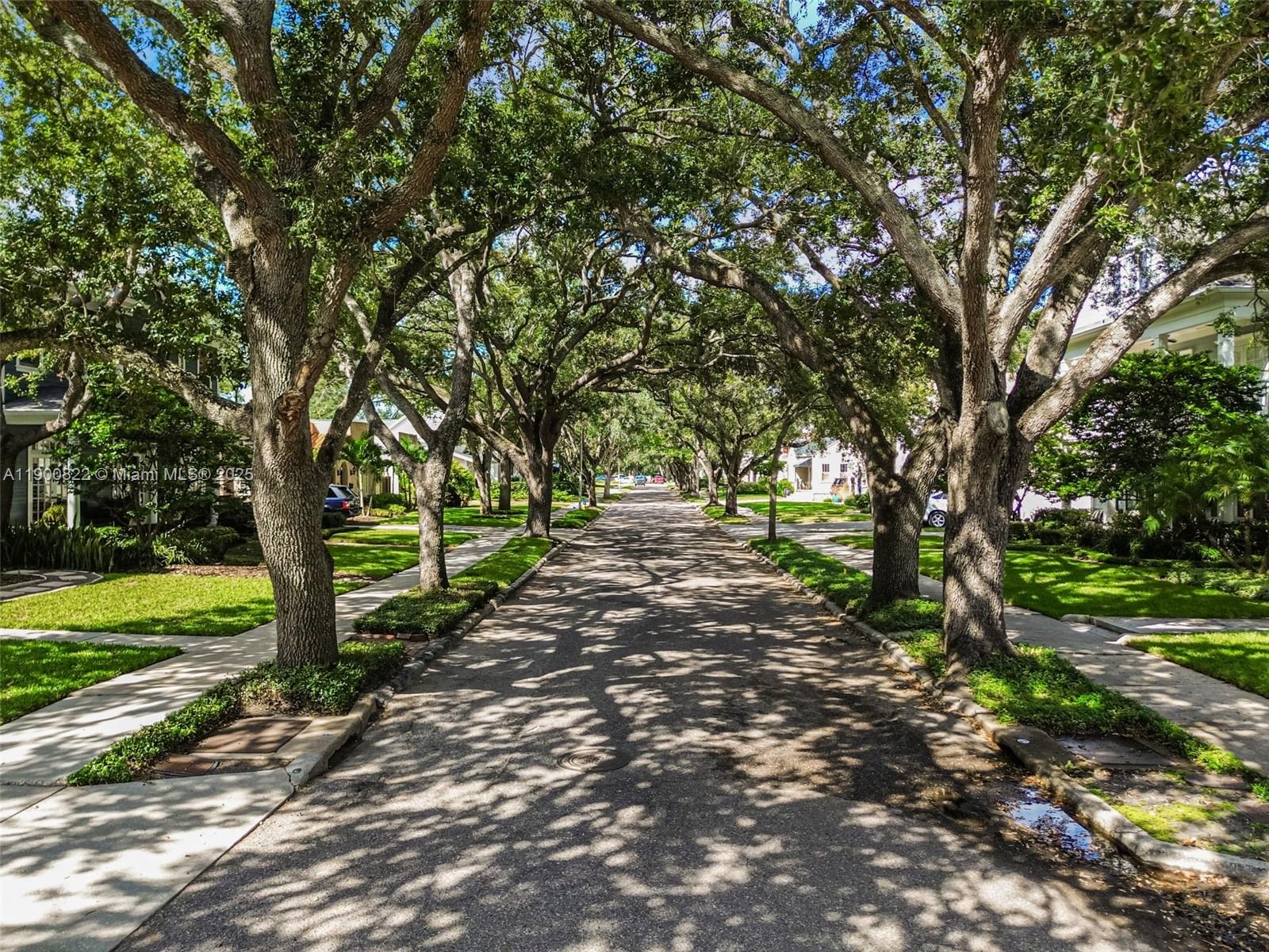 North New Suburb Beautiful - Residential