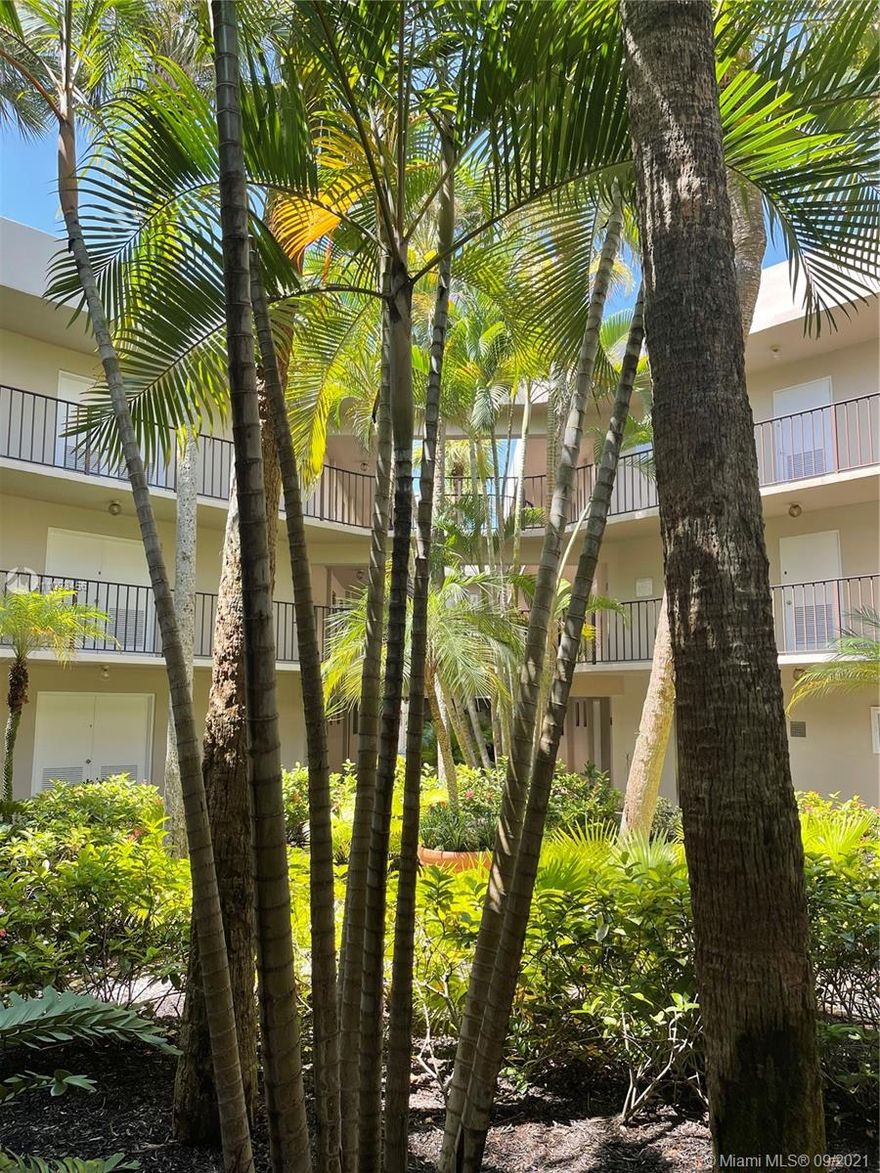 Lovely 1 bedroom, 1 and a half bath furnished unit in Palmetto Building, Las Verdes community of Delray Beach.  This 55+ building boasts lovely views of the lake and surrounding community.  This furnished, 1st floor unit features brand new A/C unit, large master bedroom with walk-in closet, and spacious screened in patio with gorgeous view of the lake!  Explore all that Las Verdes has to offer including beautiful walking trails, lush landscaping, clubhouse, fitness facility, 3 pools, tennis and pickle ball courts, shuffleboard, bocce ball, activities and much more! Conveniently located in the heart of Delray Beach close to shopping, dining, and all major commuting routes.