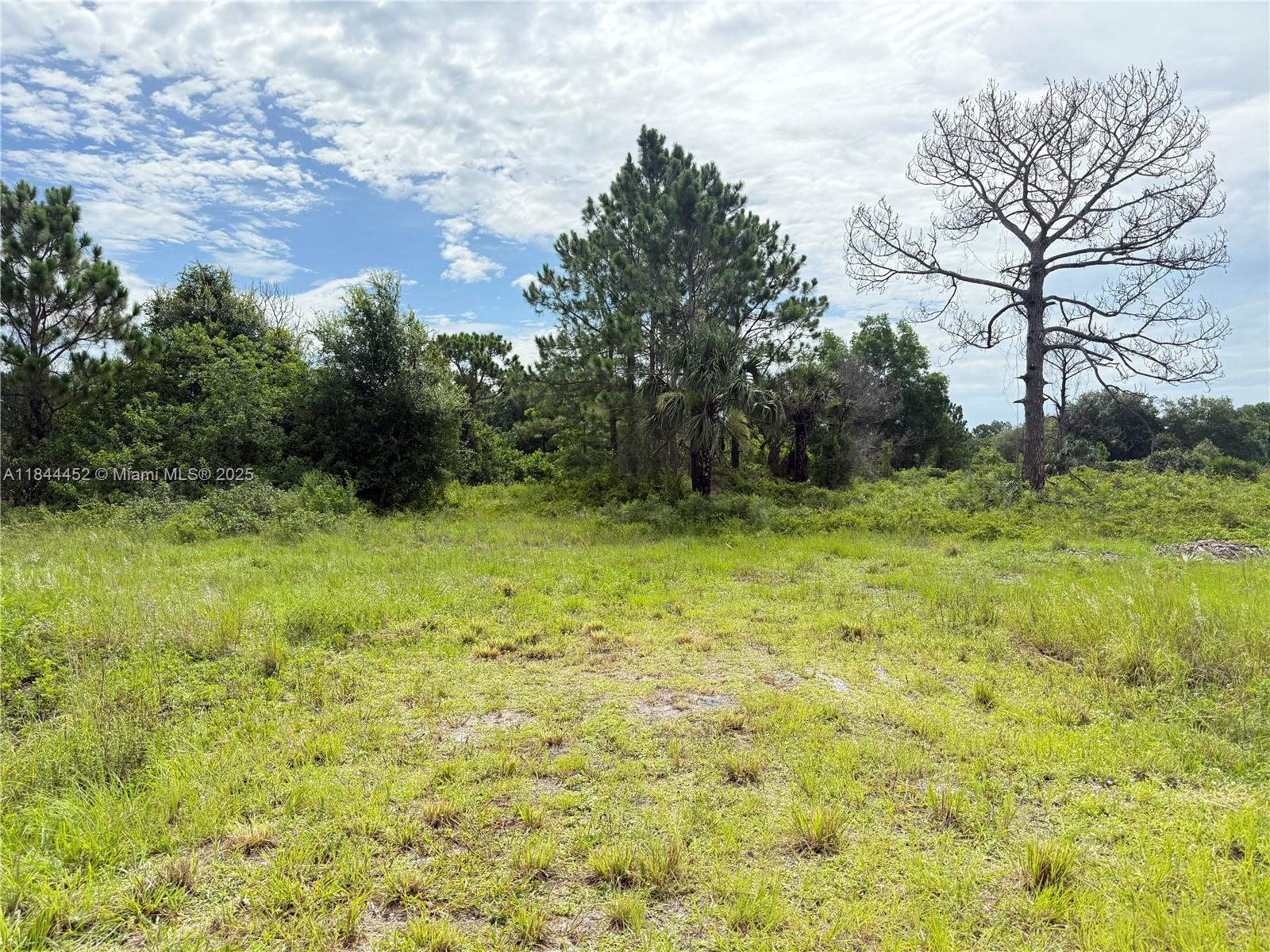 1.09 ACRES AT THE NORTH OF MONTURA RANCH ESTATES, CURB DONE AND CLEARED LOT ! PRICE TO SELL FAST!! BEST OPTION IN THE MARKET! NO WETLAND! CLEAN TITLE!! GREAT INVESTMENT OPPORTUNITY! YOU CAN BUILD YOUR DREAM HOUSE OR INSTALL YOUR MOBILE HOME ENDLESS POSSIBILITIES!!! YOU CAN HAVE YOUR WEEKEND GETAWAY FROM THE CITY, JUST 65 MILES FROM WESTON, 90 MILES FROM MIAMI, YOU CAN HAVE YOUR FARM ANIMALS AND ENJOY THE CAMP STYLE OF MONTURA RANCH ESTATE YOU CAN GO DIRECTLY TO THE PROPERTY AND CALL ME OR TEXT ME IF YOU NEED ANY EXTRA INFORMATION