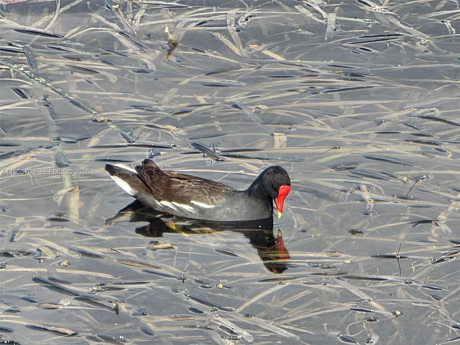 PALM-AIRE VILLAGE 2ND SEC - Residential