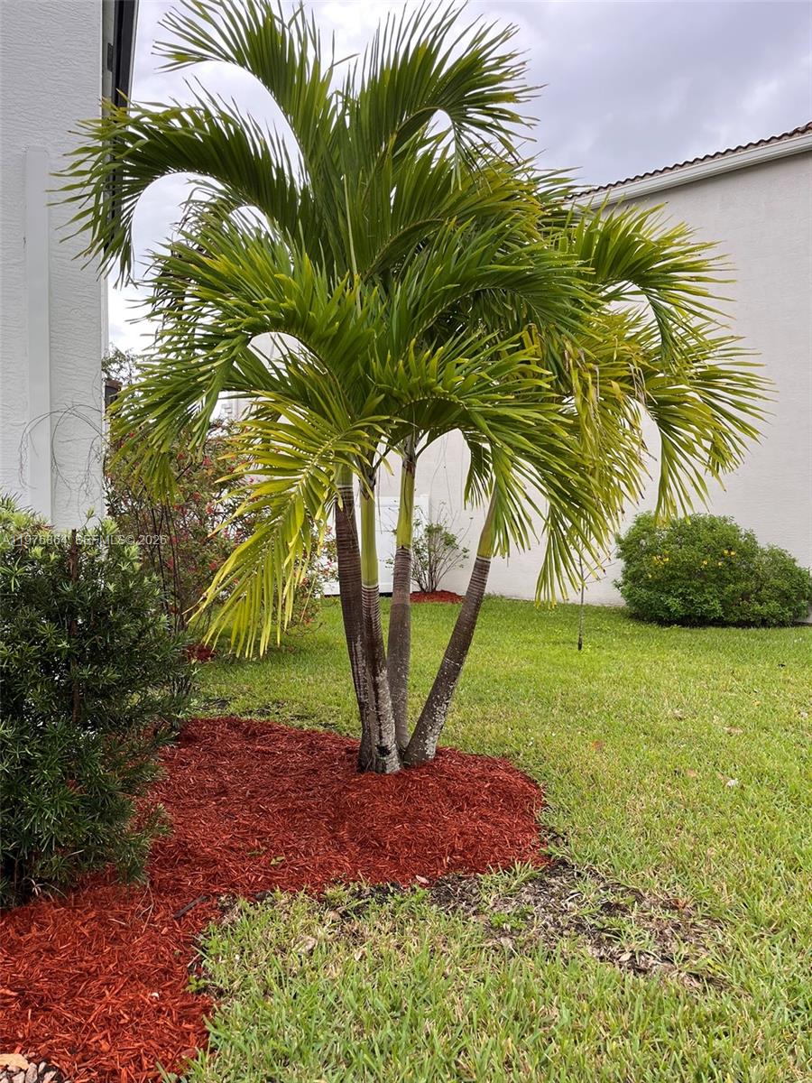 CHAMPION LAKES - Residential