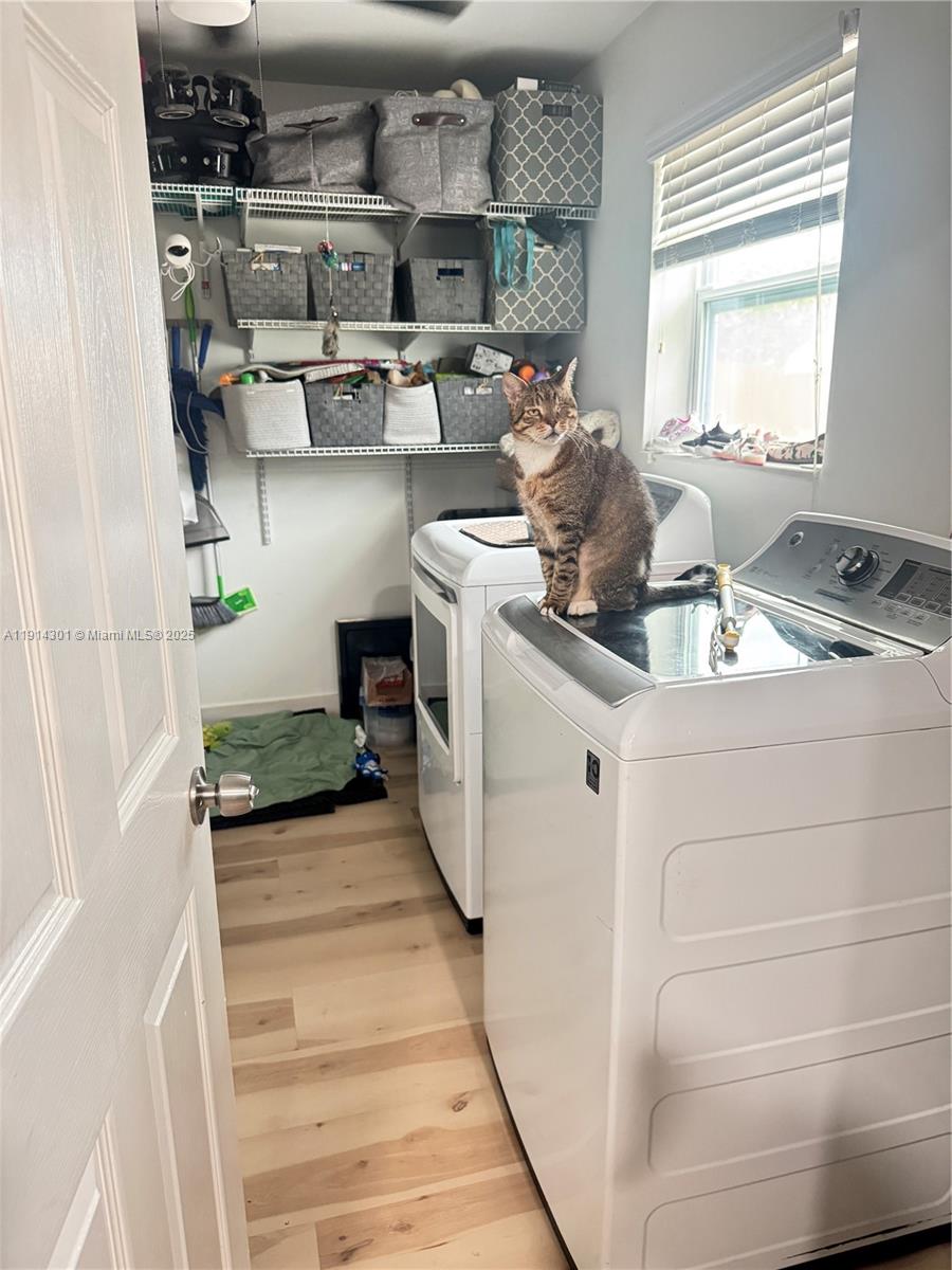 HOLLYWOOD HILLS - Residential Lease