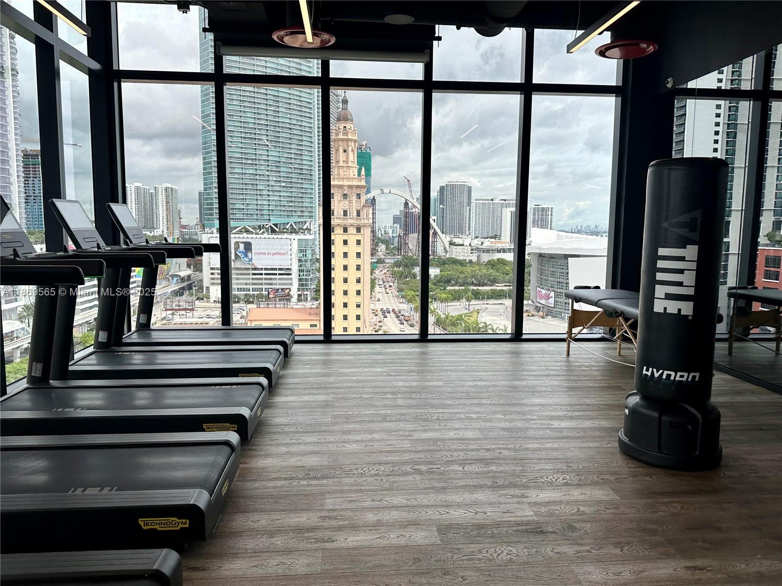 The Elser - Residential