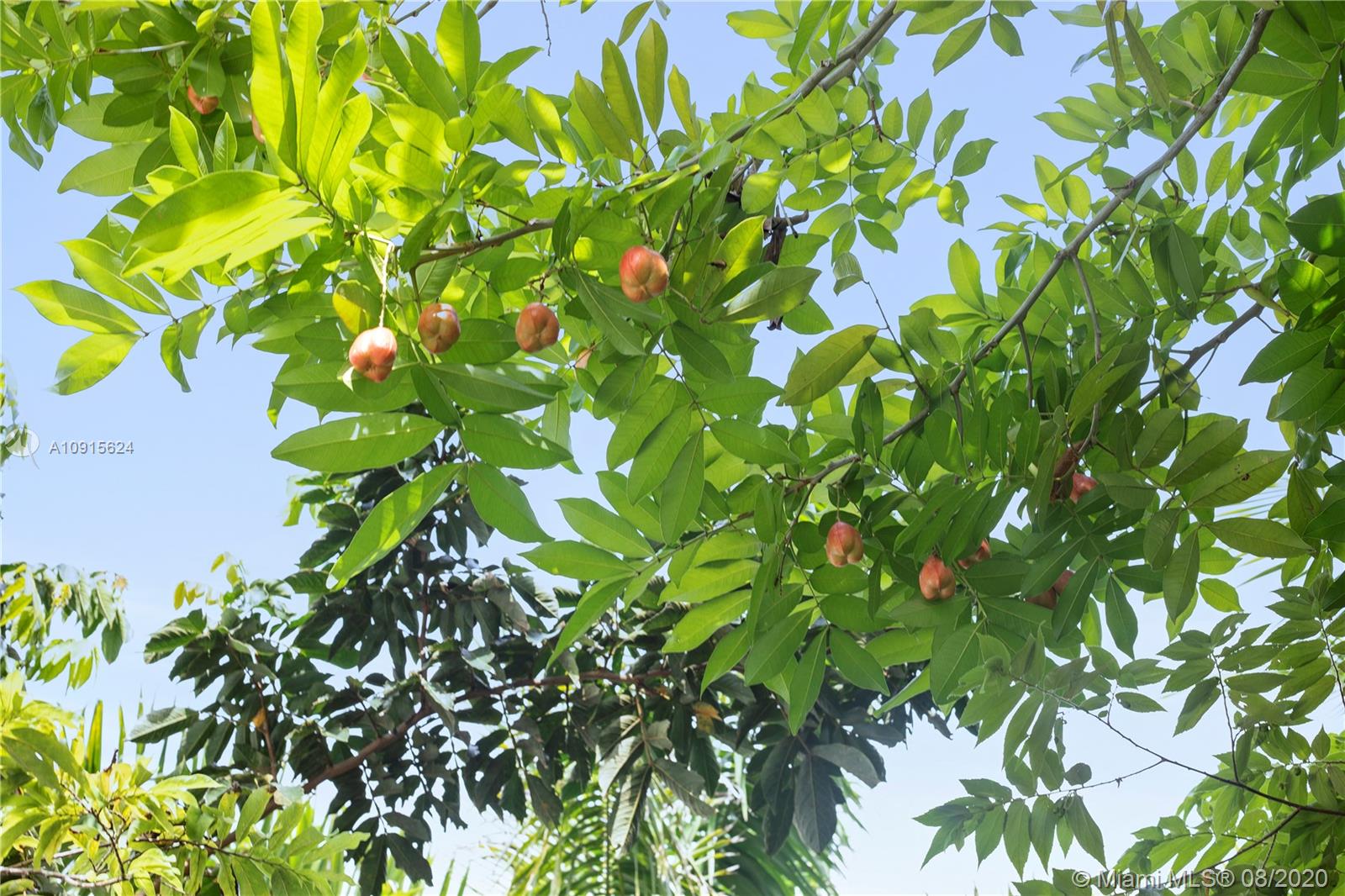 Redland 1.25 acres - Residential