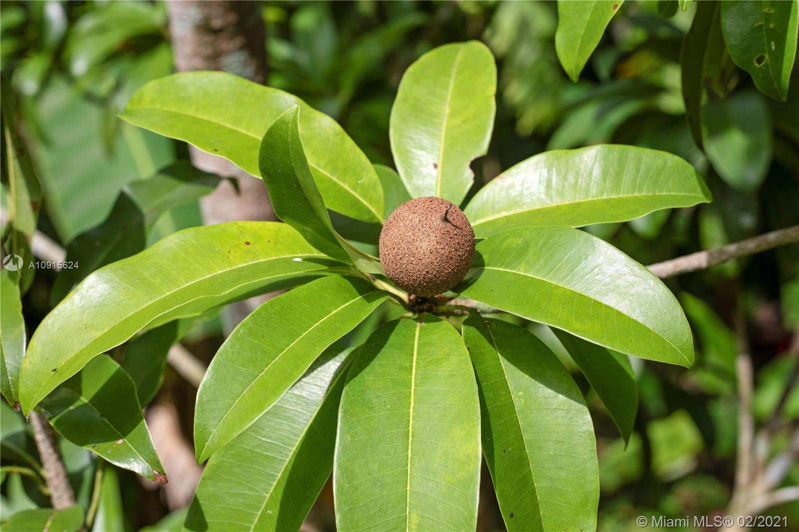 Redland 1.25 acres - Residential