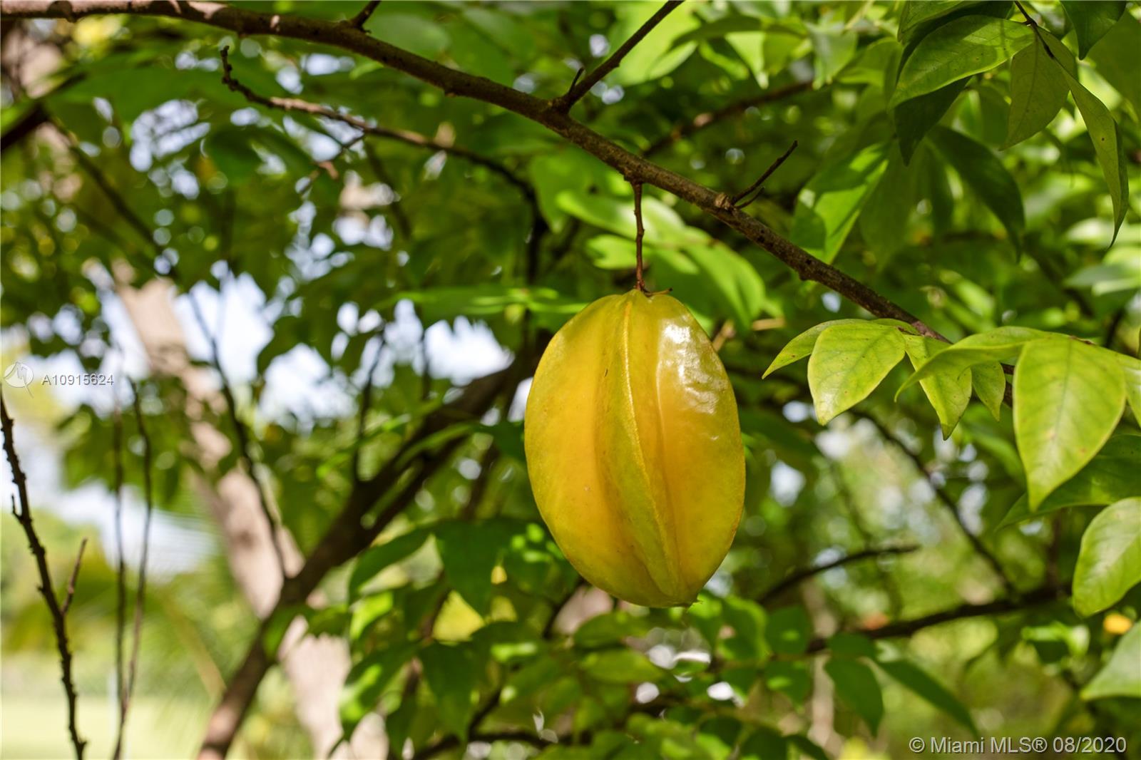 Redland 1.25 acres - Residential