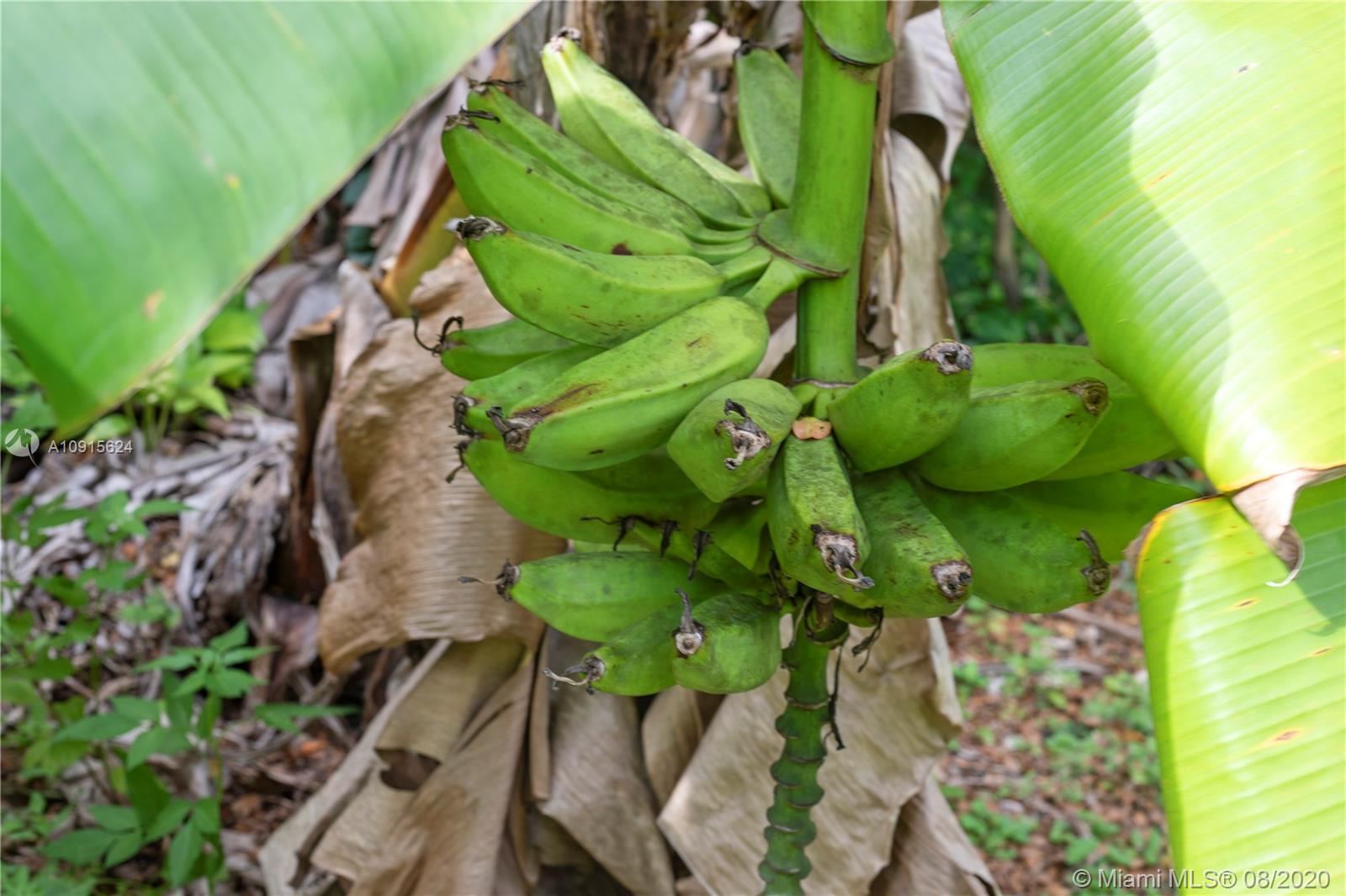 Redland 1.25 acres - Residential