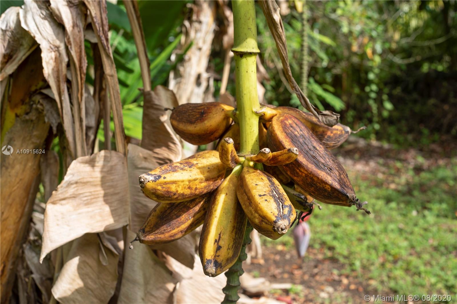 Redland 1.25 acres - Residential