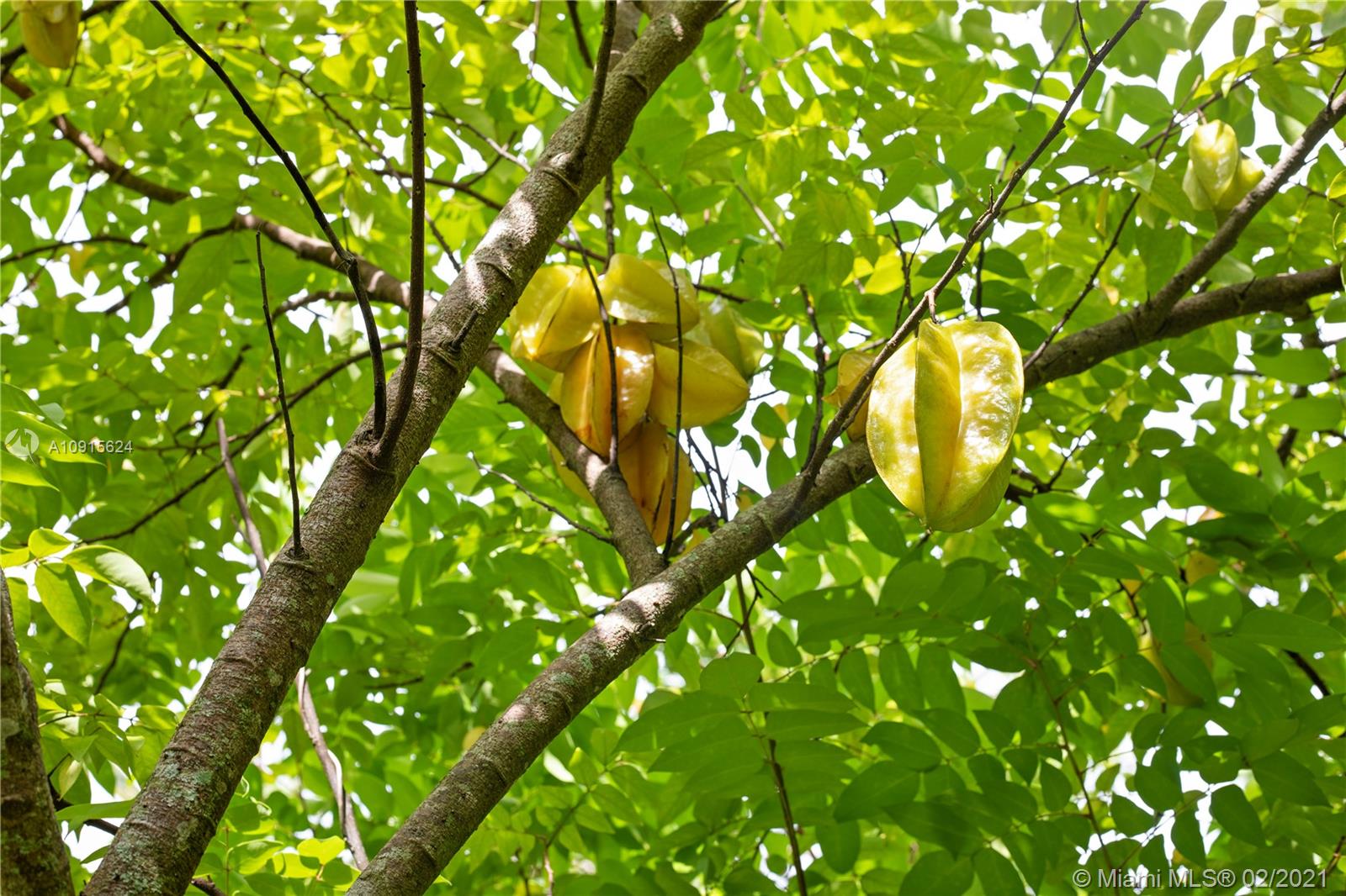 Redland 1.25 acres - Residential