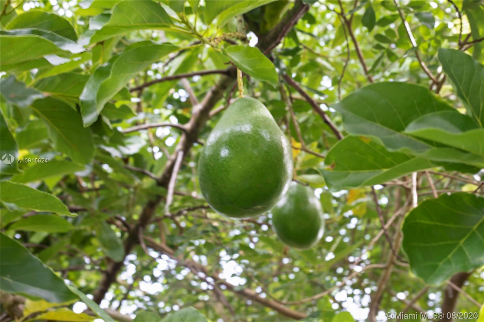 Redland 1.25 acres - Residential