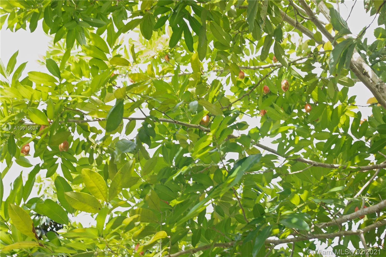 Redland 1.25 acres - Residential