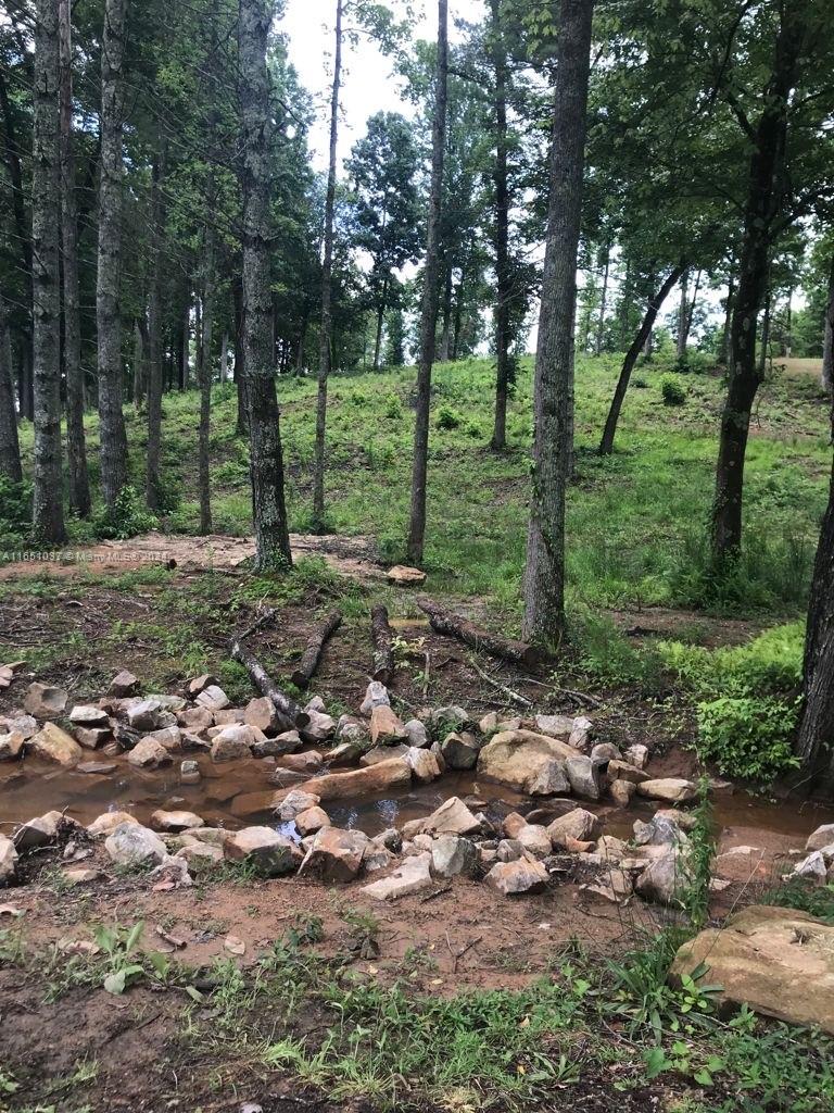 Yonah Mountain Lake - Land