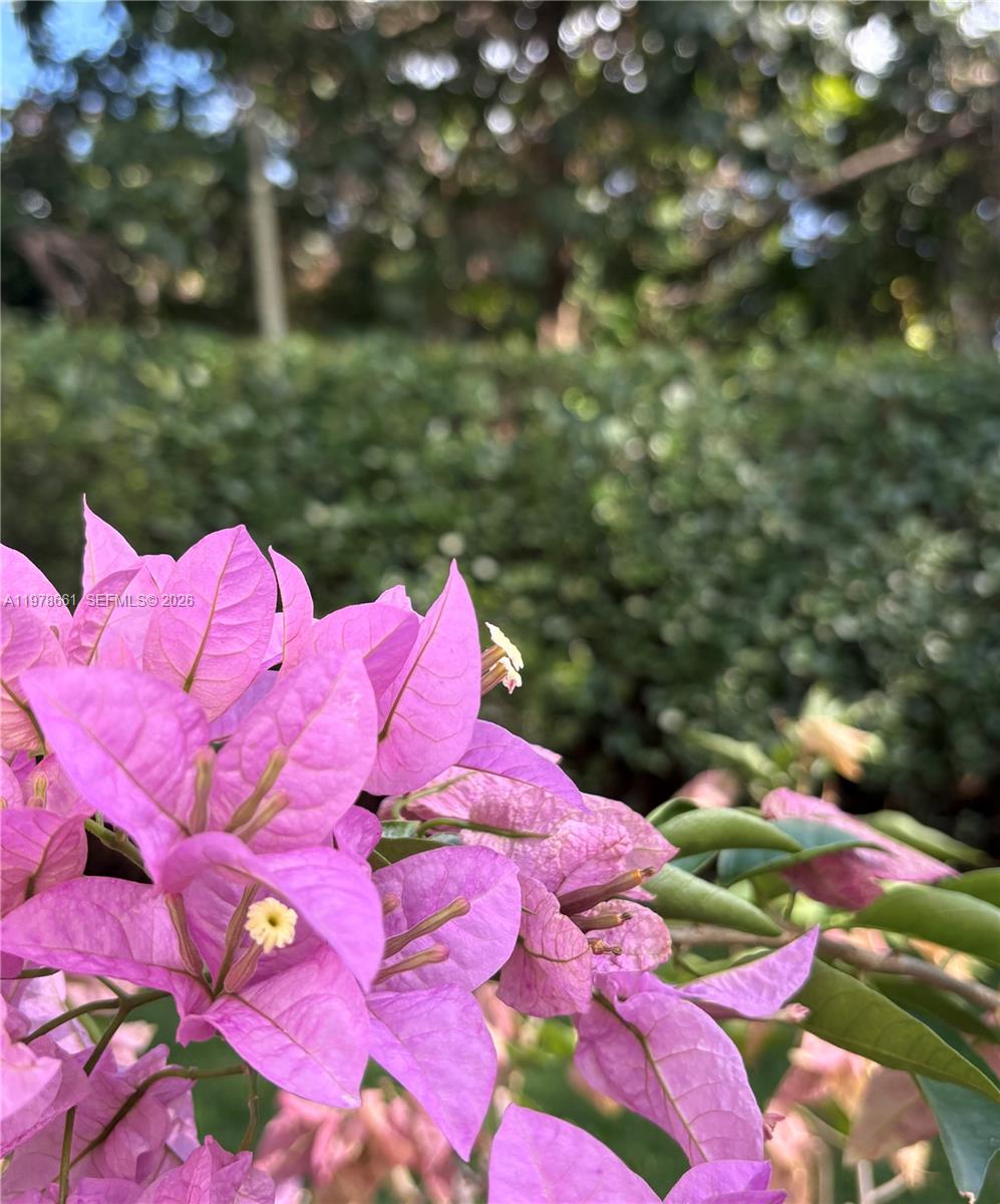 BELLE MEADE OF MIA SEC 1 - Residential