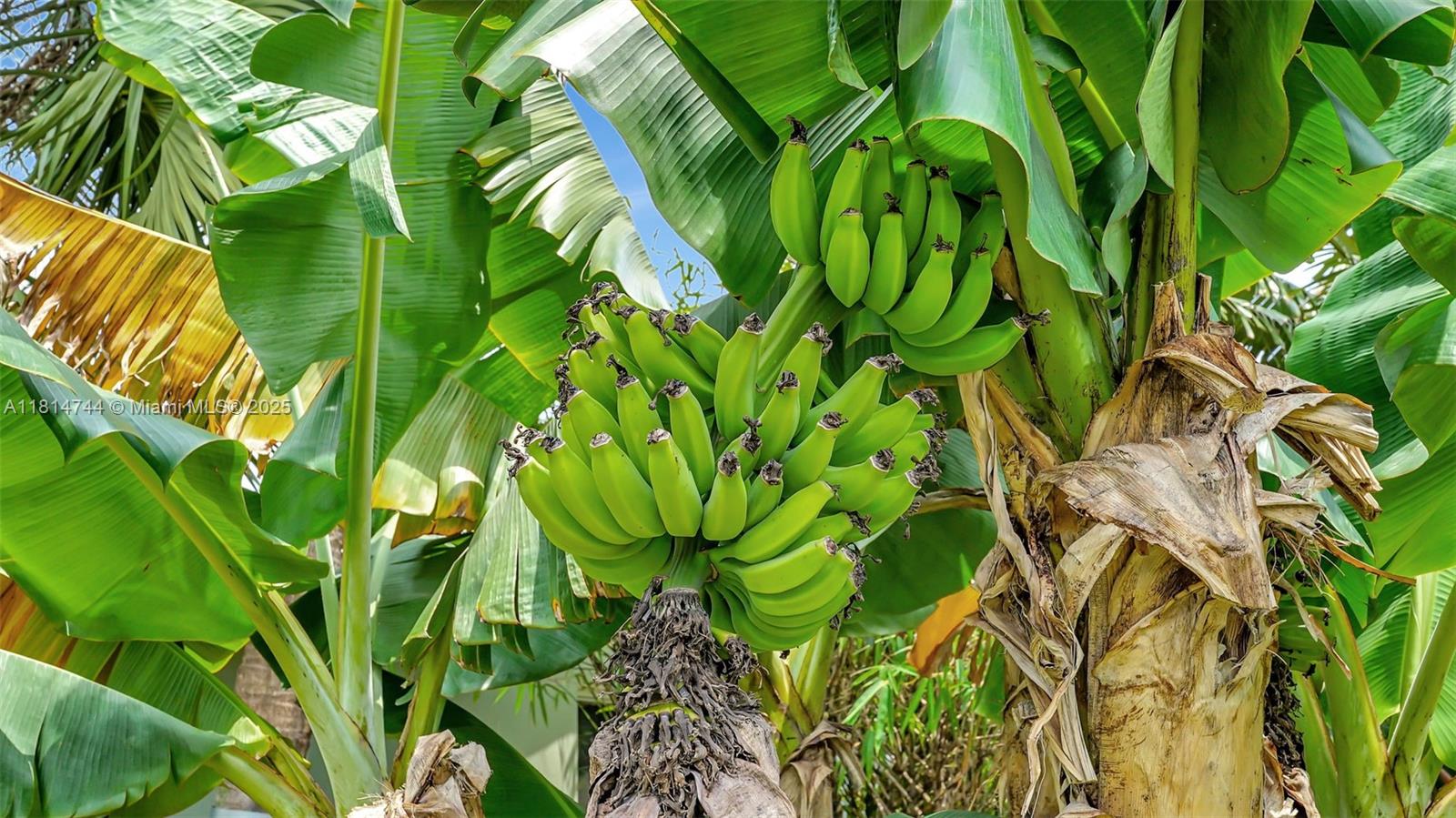 NEW RIVER GROVES 2ND ADD - Residential