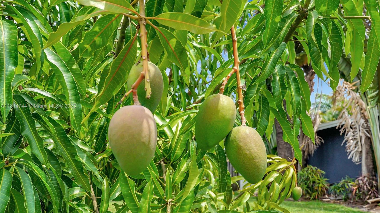 NEW RIVER GROVES 2ND ADD - Residential