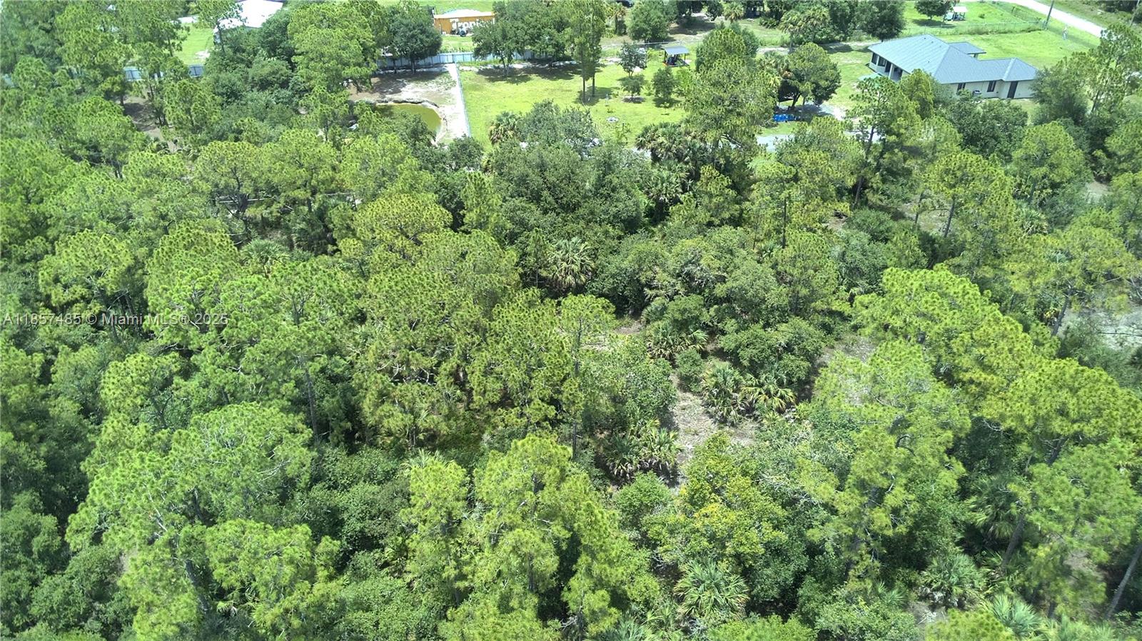 Unique opportunity in Montura Ranch, Florida! This 1.27-acre lot offers spectacular natural vegetation, making it ideal for creating your own private oasis and enjoying a peaceful lifestyle. Electricity is already available at the entrance to the property, and the driveway—a mandatory county requirement to begin construction—is already in place. Conveniently located just 3 minutes from Montura’s Café, 4 minutes from Latin Buffet, 11 minutes from Joey’s Pizza, 20 minutes from Walmart, and 20 minutes from Regional Medical Center.