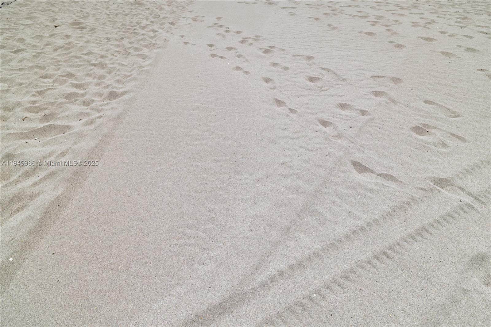 EDGEWATER BEACH TOWERS CO - Residential