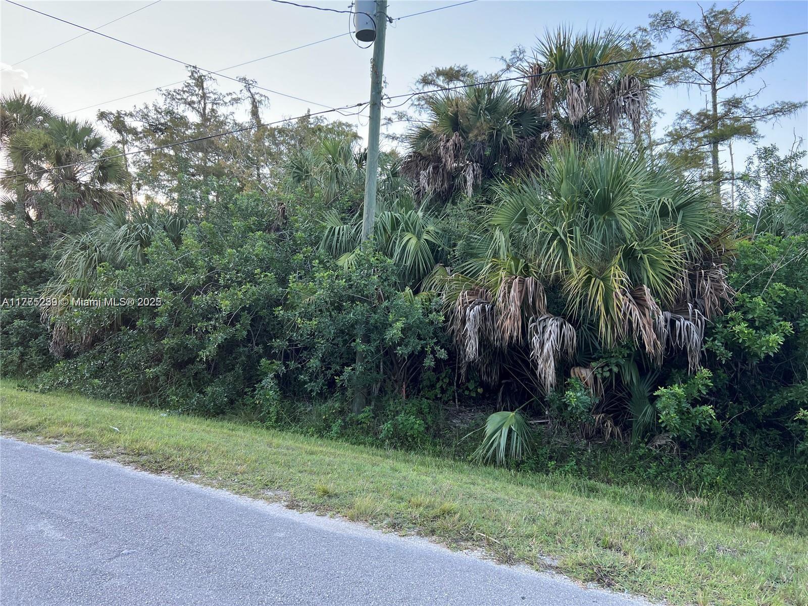 Don't miss this incredible opportunity to own 1.14 acres of prime residential land in the desirable Golden Gate Estates. This stunning lot is perfect to build your dream home right away, surrounded by nature and beautiful homes in the area. Located in a rapidly growing community, it's an excellent investment for the future. Whether you're looking to build now or hold as an appreciating asset, this is a must-see!