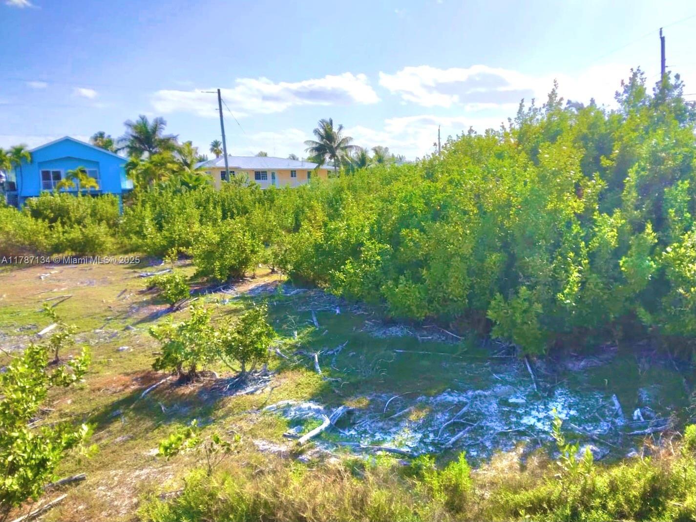 FLAMINGO ISLAND EST AMD P - Land