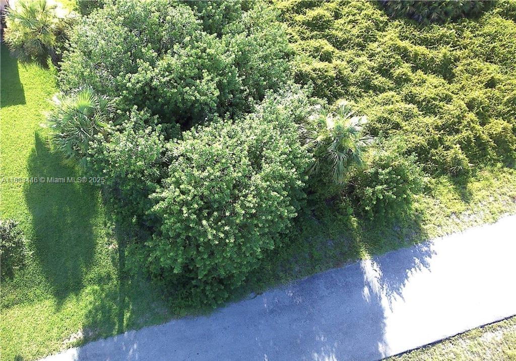 Lehigh Acres - Land