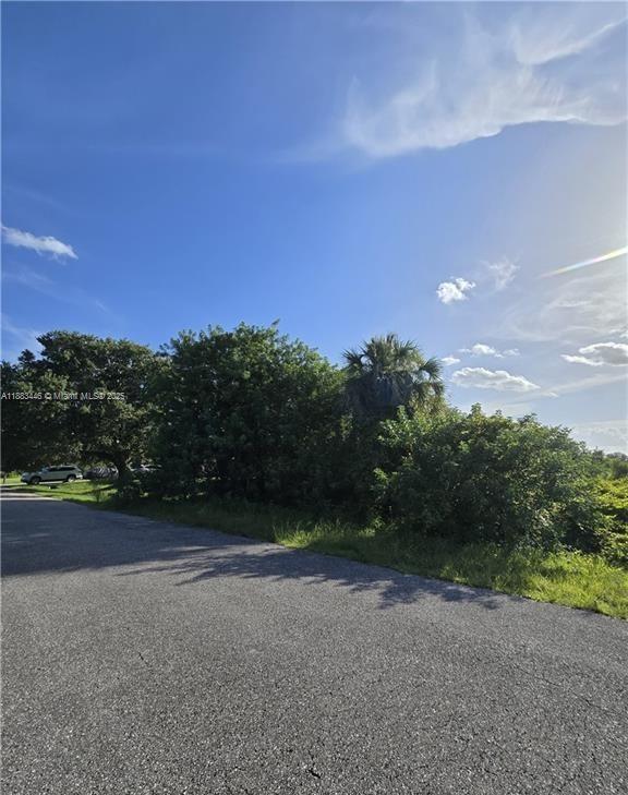 Half-Acre lot in a quiet, growing area of Lehigh Acres! Just minutes from SR-80, Joel Blvd, near local schools. shopping, and dining. This spacious property offers the perfect canvas for your dream home or next investment. Surrounded by nature and convenience, it's an ideal blend of privacy and accessibility. Don't Miss Out!
