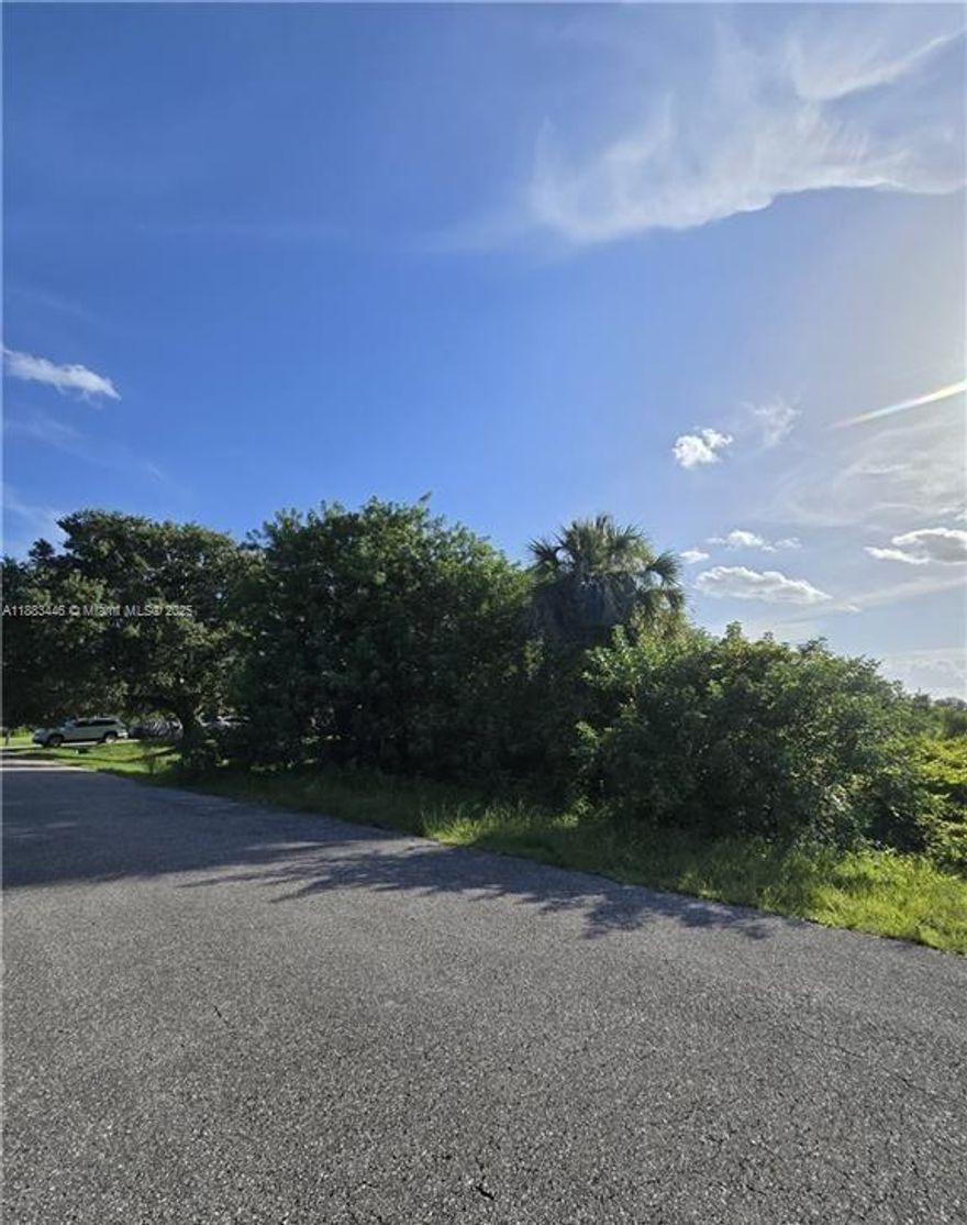 Half-Acre lot in a quiet, growing area of Lehigh Acres! Just minutes from SR-80, Joel Blvd, near local schools. shopping, and dining. This spacious property offers the perfect canvas for your dream home or next investment. Surrounded by nature and convenience, it's an ideal blend of privacy and accessibility. Don't Miss Out!