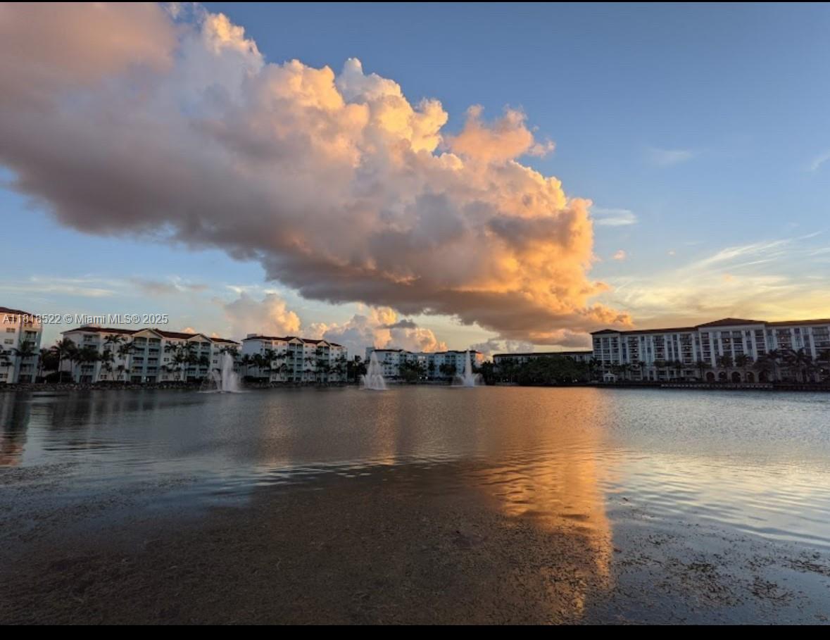 DOWNTOWN DORAL SOUTH PHAS - Residential