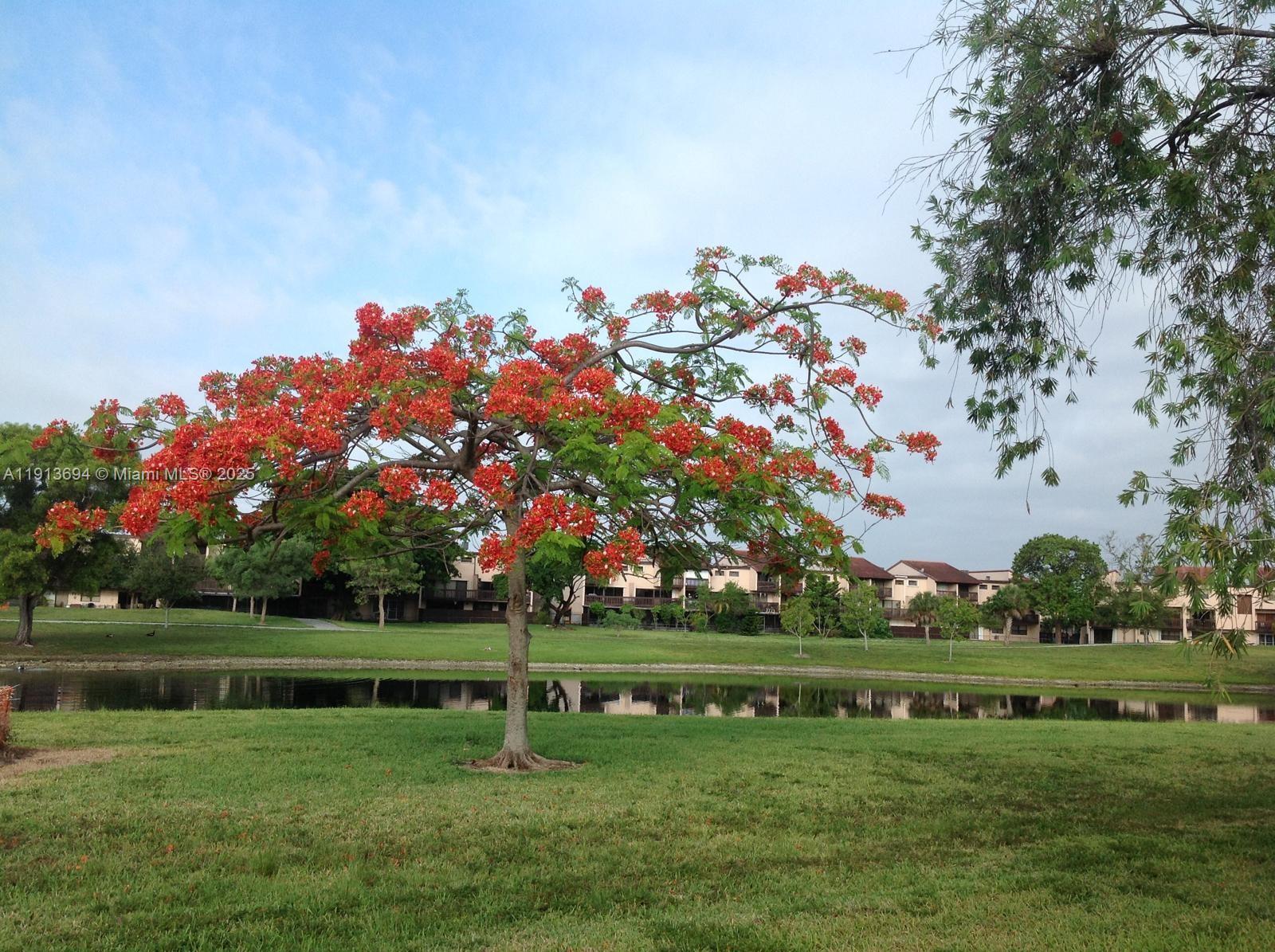 SPRING LAKES VILLAGE II - Residential