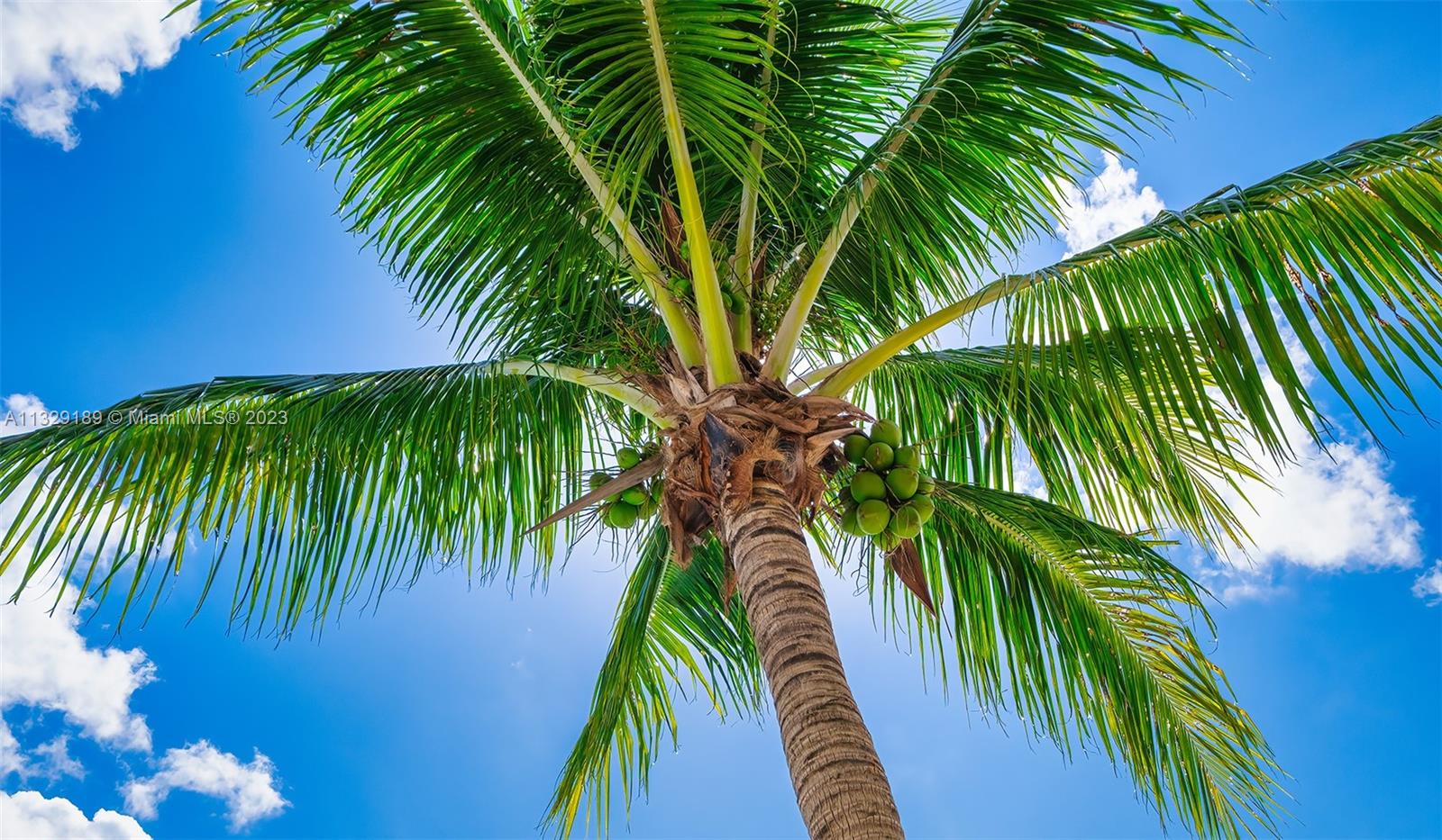 City Center on 7th - Residential Lease