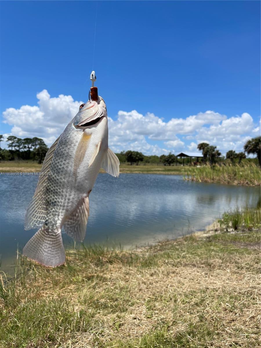 INDIAN RIVER FARMS COMPAN - Land