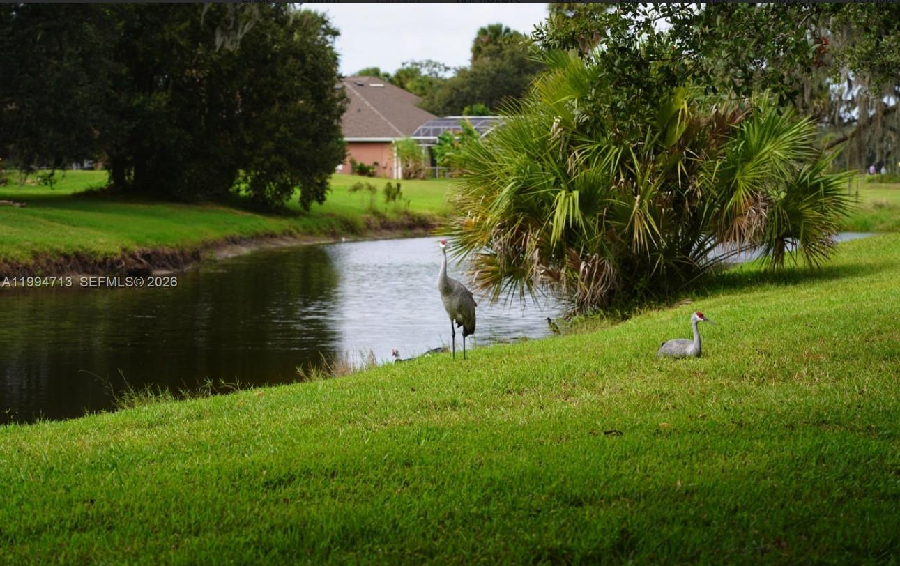 SHINGLE CREEK REVERVE - Residential