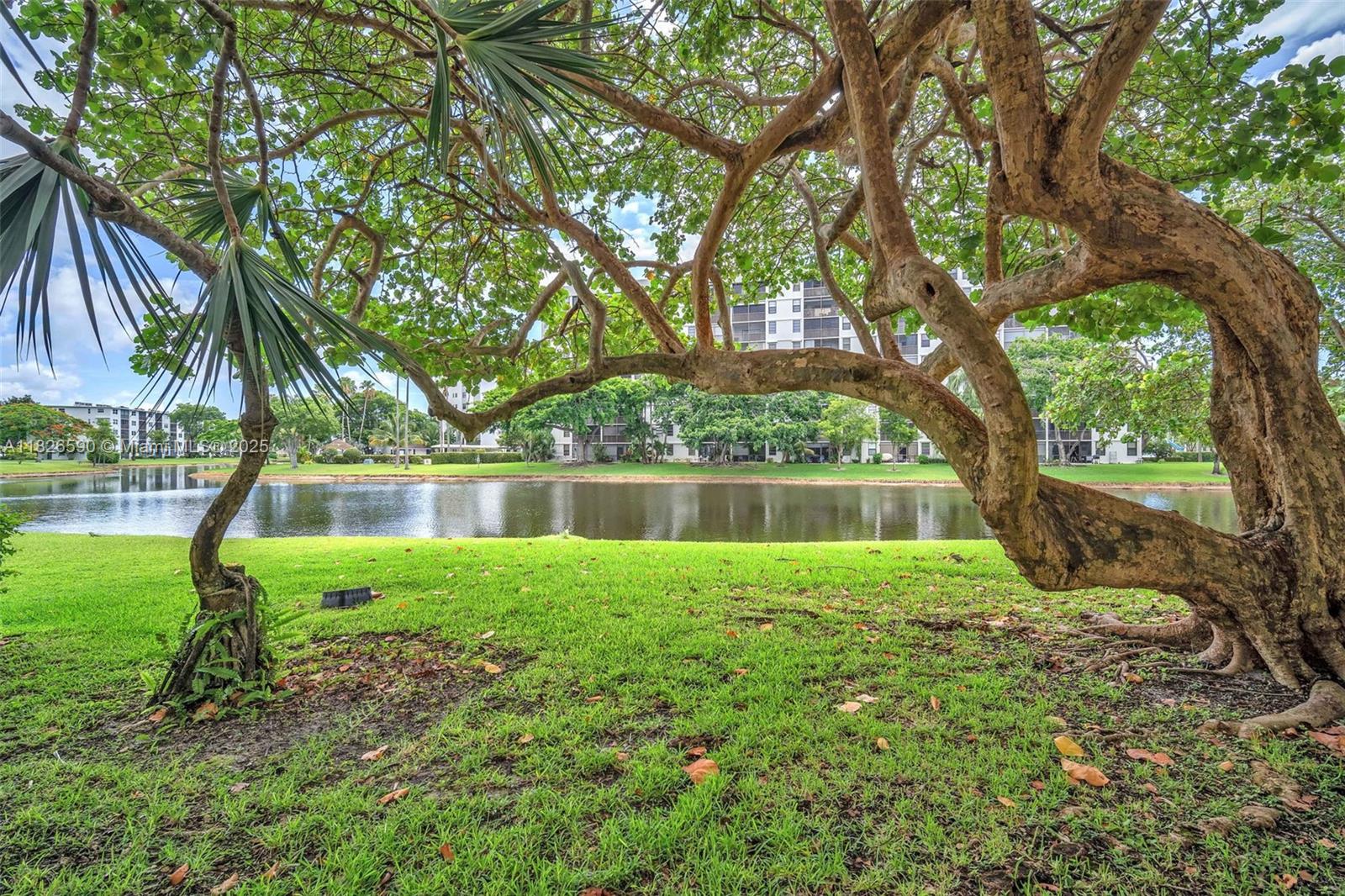 2311 S CYPRESS BEND DRIVE 316B