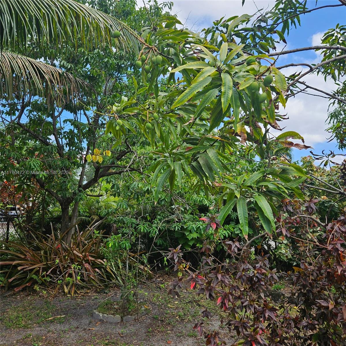 LAUDERDALE LITTLE RANCHES - Land