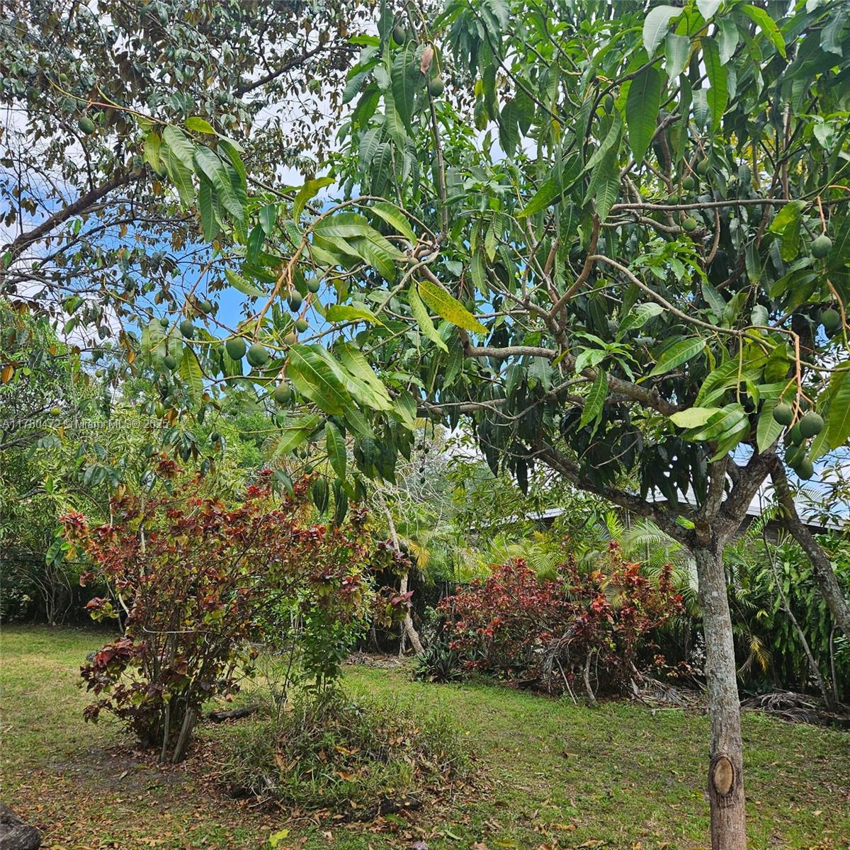 LAUDERDALE LITTLE RANCHES - Land