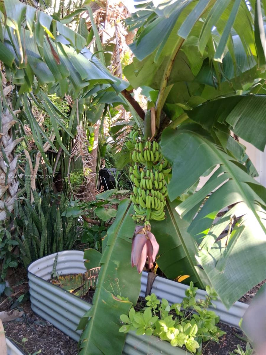 BELMAR AMENDED - Residential