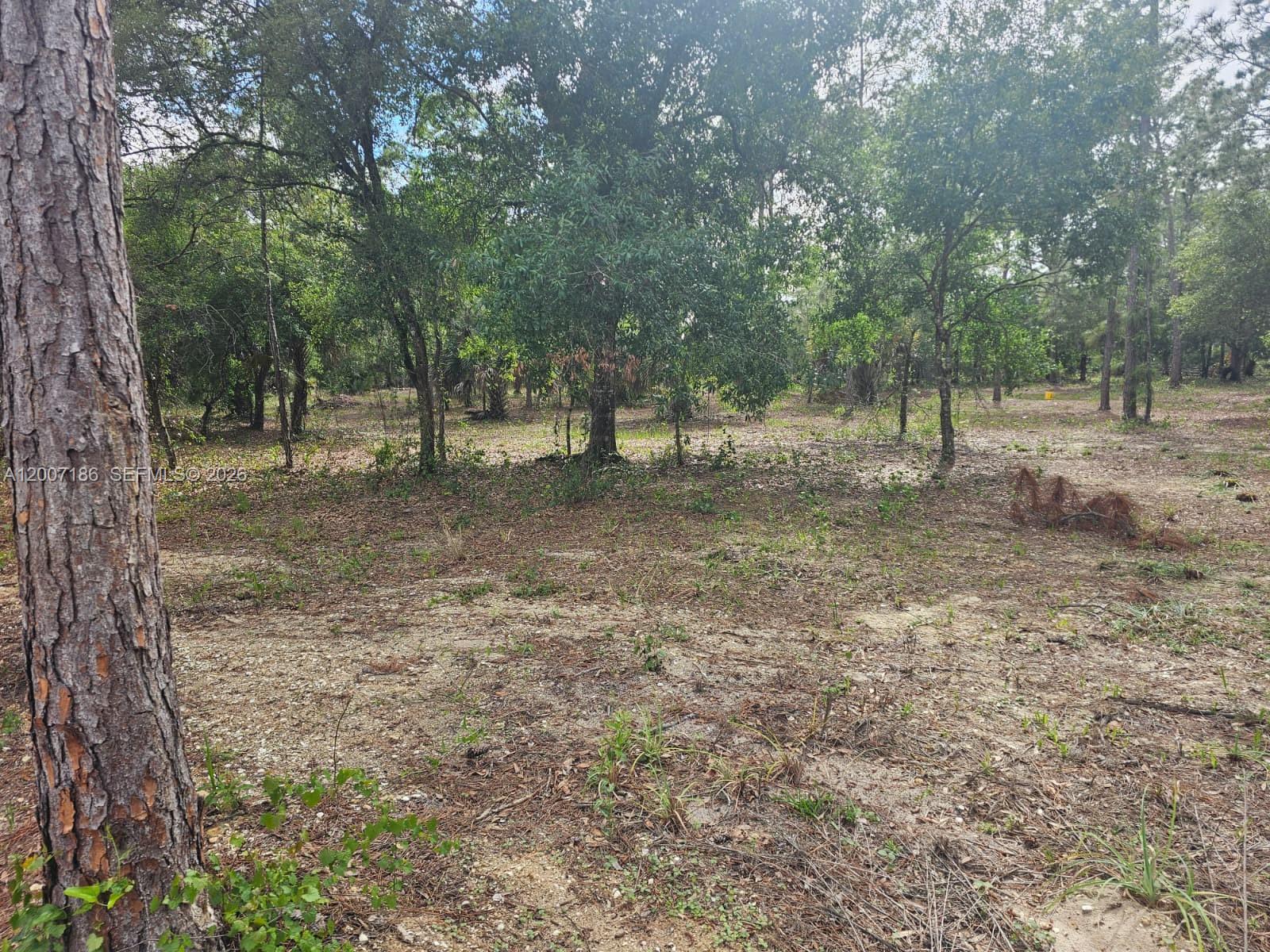 MONTURA RANCH UNREC SEC 3 - Land
